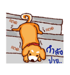 The funny dog（個別スタンプ：33）