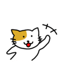 Payoon's Cat（個別スタンプ：1）