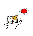 Payoon's Cat（個別スタンプ：3）