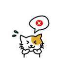 Payoon's Cat（個別スタンプ：13）