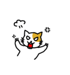 Payoon's Cat（個別スタンプ：19）