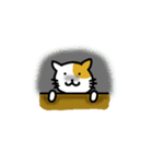 Payoon's Cat（個別スタンプ：36）