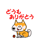 日本 柴犬2（個別スタンプ：3）