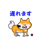 日本 柴犬2（個別スタンプ：6）