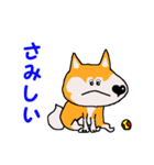 日本 柴犬2（個別スタンプ：7）