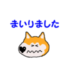 日本 柴犬2（個別スタンプ：13）