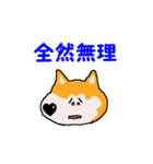 日本 柴犬2（個別スタンプ：14）