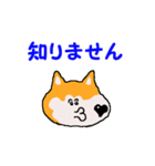 日本 柴犬2（個別スタンプ：15）