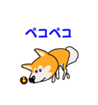 日本 柴犬2（個別スタンプ：33）