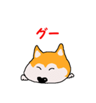 日本 柴犬2（個別スタンプ：34）