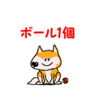 日本 柴犬2（個別スタンプ：36）