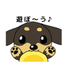 ダックス犬ちょこ（個別スタンプ：29）