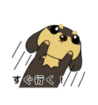 ダックス犬ちょこ（個別スタンプ：31）