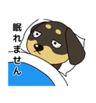 ダックス犬ちょこ（個別スタンプ：38）