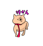 接しやすい柴犬ハチさん（個別スタンプ：10）