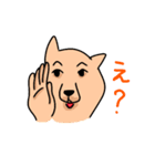 接しやすい柴犬ハチさん（個別スタンプ：30）