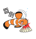 Clown fish, Orsia（個別スタンプ：10）