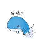 whale 2（個別スタンプ：12）