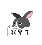 Ferocious rabbit（個別スタンプ：28）