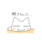 会議ねこ（個別スタンプ：6）