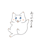 会議ねこ（個別スタンプ：12）