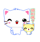 Beiya Cat (Special Edition)（個別スタンプ：1）