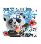モフ☆パンダの夏（個別スタンプ：40）