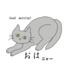 猫と猫友たちの日常会話集（個別スタンプ：1）