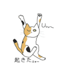 猫と猫友たちの日常会話集（個別スタンプ：2）