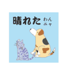 猫と猫友たちの日常会話集（個別スタンプ：5）