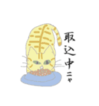 猫と猫友たちの日常会話集（個別スタンプ：11）