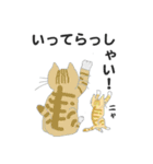 猫と猫友たちの日常会話集（個別スタンプ：13）