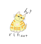 猫と猫友たちの日常会話集（個別スタンプ：17）