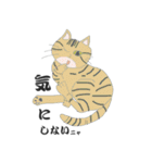 猫と猫友たちの日常会話集（個別スタンプ：20）