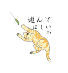猫と猫友たちの日常会話集（個別スタンプ：30）