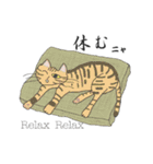 猫と猫友たちの日常会話集（個別スタンプ：31）