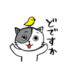 ネコチーム ちゃぺ（個別スタンプ：21）