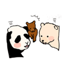 すえっこぐま3匹（個別スタンプ：36）