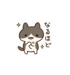 オタねこ（個別スタンプ：5）