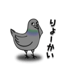 ハトのぐーちゃん（個別スタンプ：2）