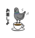 ハトのぐーちゃん（個別スタンプ：3）