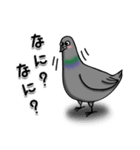 ハトのぐーちゃん（個別スタンプ：7）