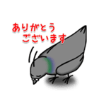 ハトのぐーちゃん（個別スタンプ：11）