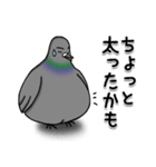 ハトのぐーちゃん（個別スタンプ：12）