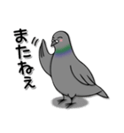ハトのぐーちゃん（個別スタンプ：17）