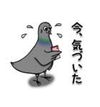 ハトのぐーちゃん（個別スタンプ：19）