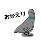 ハトのぐーちゃん（個別スタンプ：21）