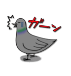 ハトのぐーちゃん（個別スタンプ：31）