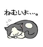 ねこさま王国（個別スタンプ：11）