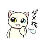 ねこさま王国（個別スタンプ：19）